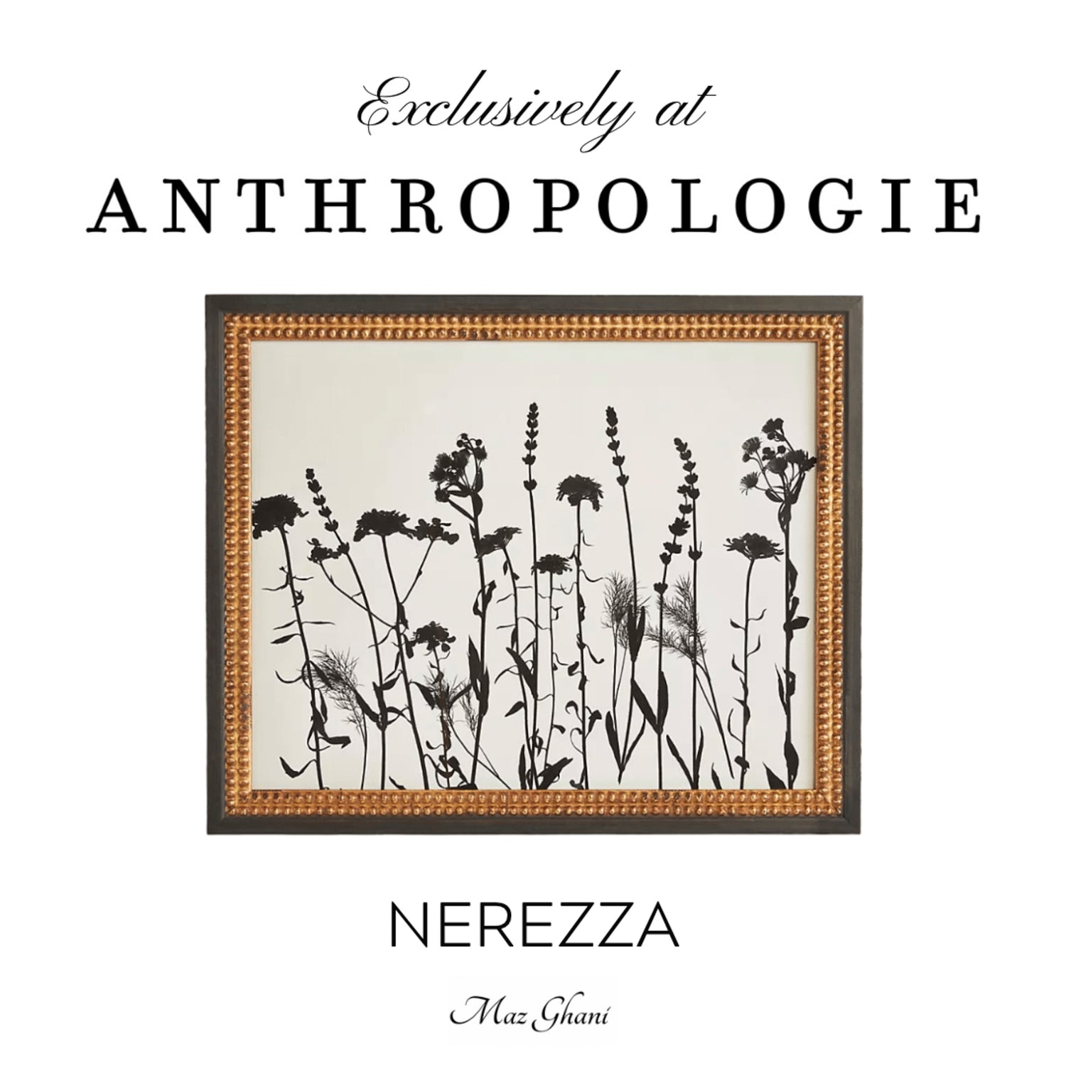 Anthropologie framed art Nerezza print Maz Ghani