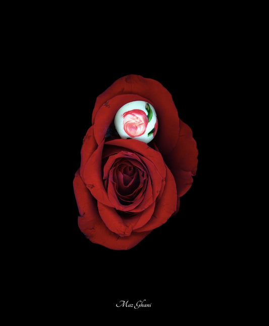Maz Ghani x Breda Collab 17