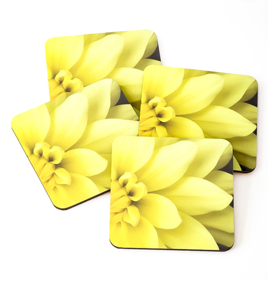 Dahlia Botanical Photo Art Cork Coaster Set of 4