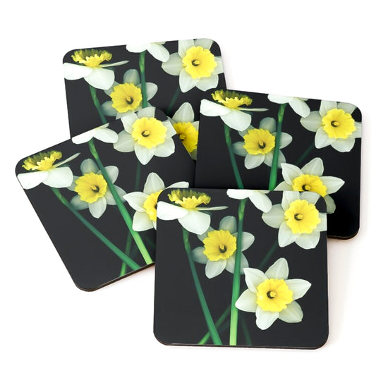 Dayana Botanical Photo Art Cork Coaster Set of 4