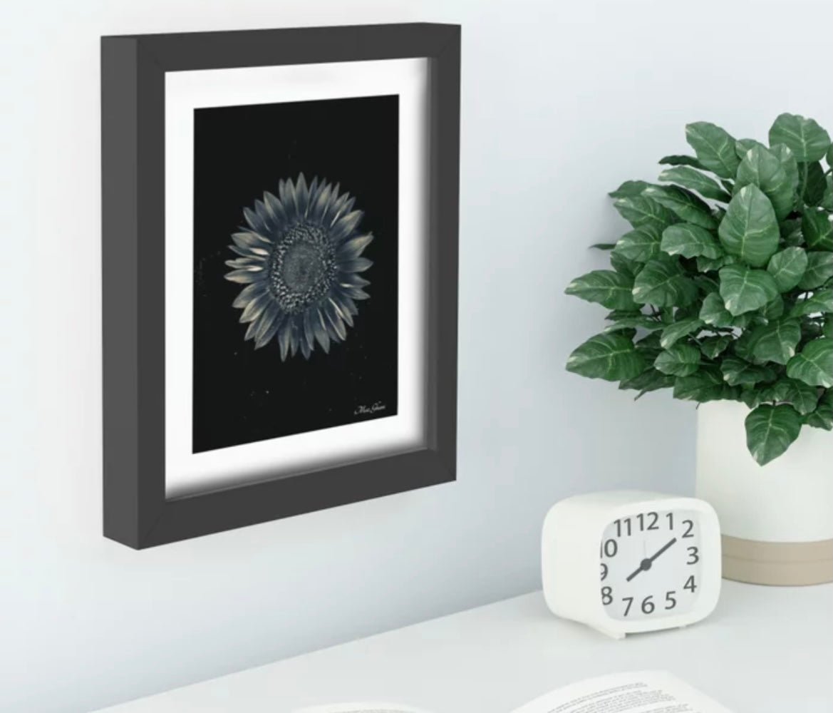 Celestial Recessed Framed Botanical Art Print