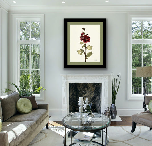 Alcea Framed Botanical Photo Art Print