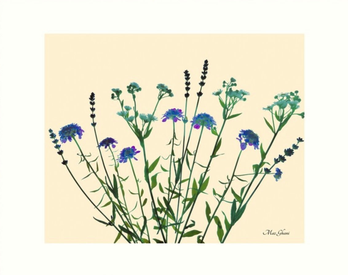 Glowing Wild Botanical Photo Art Print