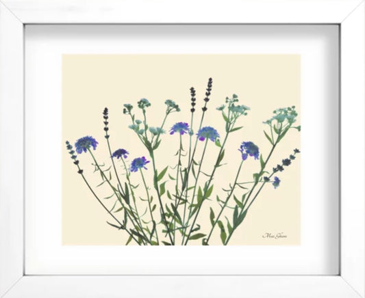 Glowing Wild Recessed Framed Botanical Art Print