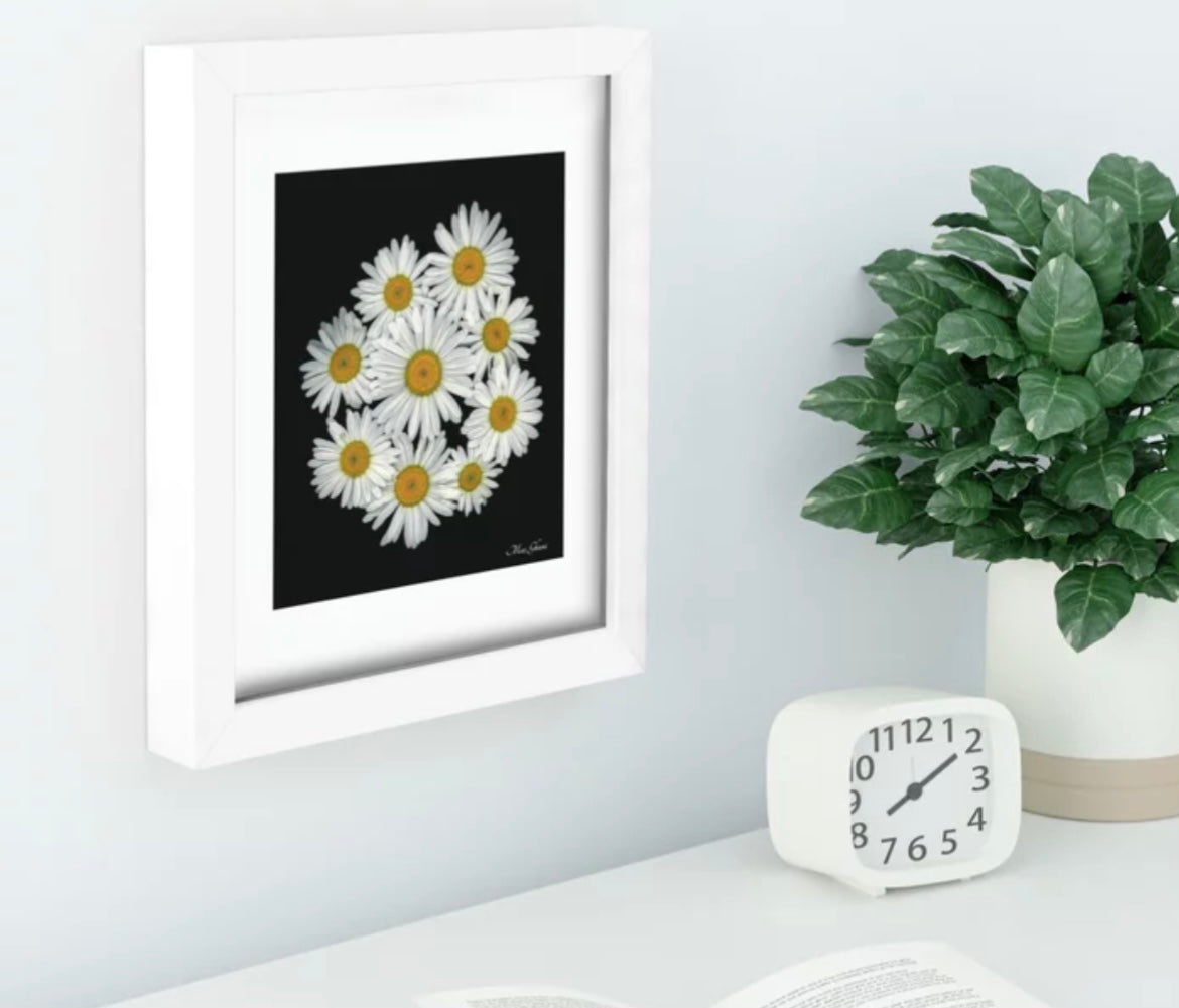 Sunny Days Recessed Framed Botanical Art Print