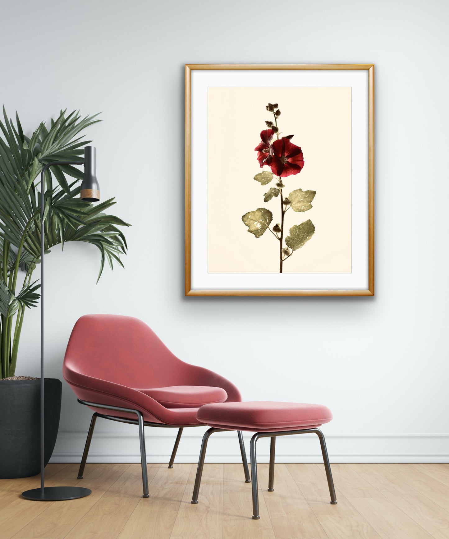 Alcea Botanical Photo Art Print