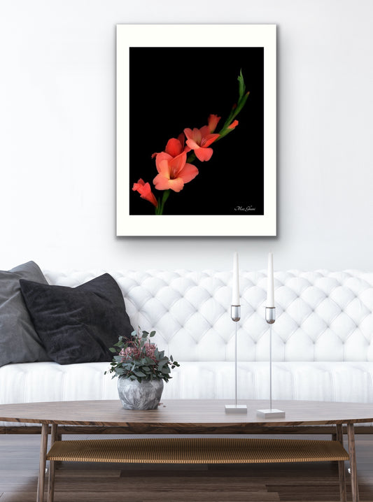 Scarlet Botanical Photo Art Print
