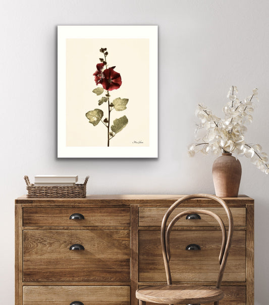 Alcea Botanical Photo Art Print