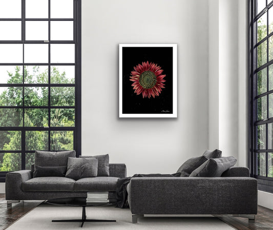 Helianthus Botanical Photo Art Print