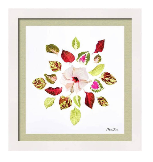 Harmony Framed Botanical Photo Art Print