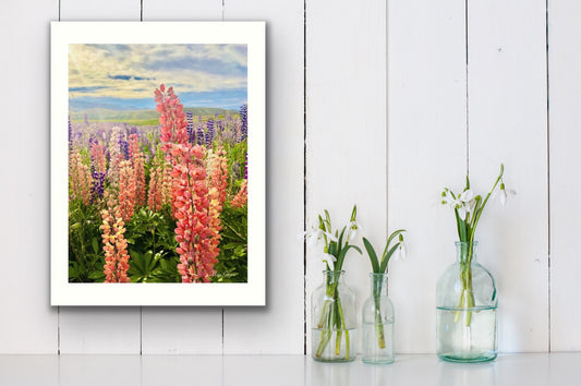 Lupines Botanical Photo Art Print