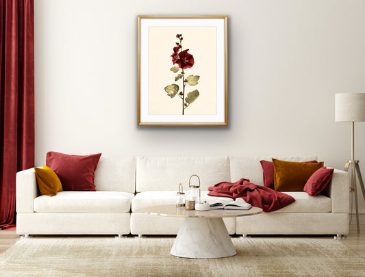 Alcea Botanical Photo Art Print