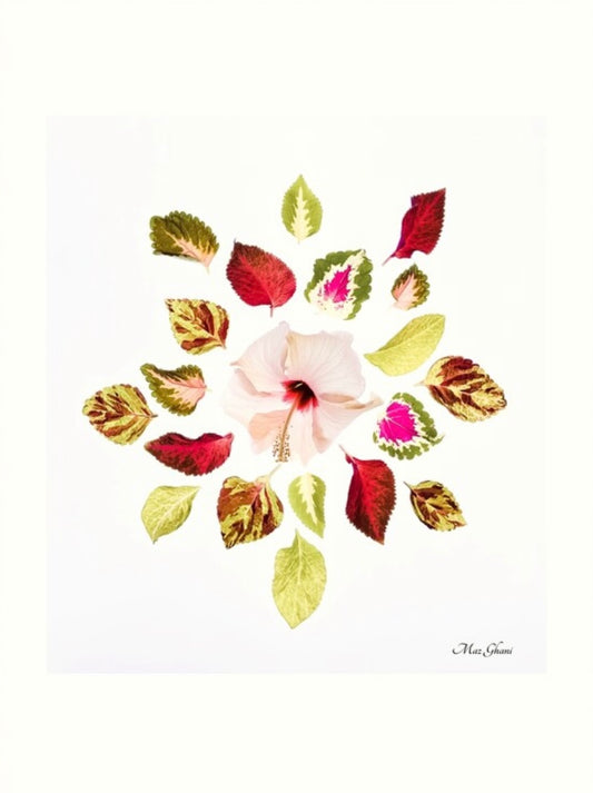 Harmony Botanical Photo Art Print
