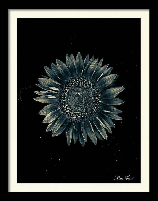 Celestial Framed Botanical Photo Art Print #2