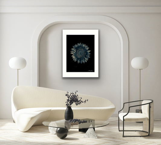 Celestial Botanical Photo Art Print