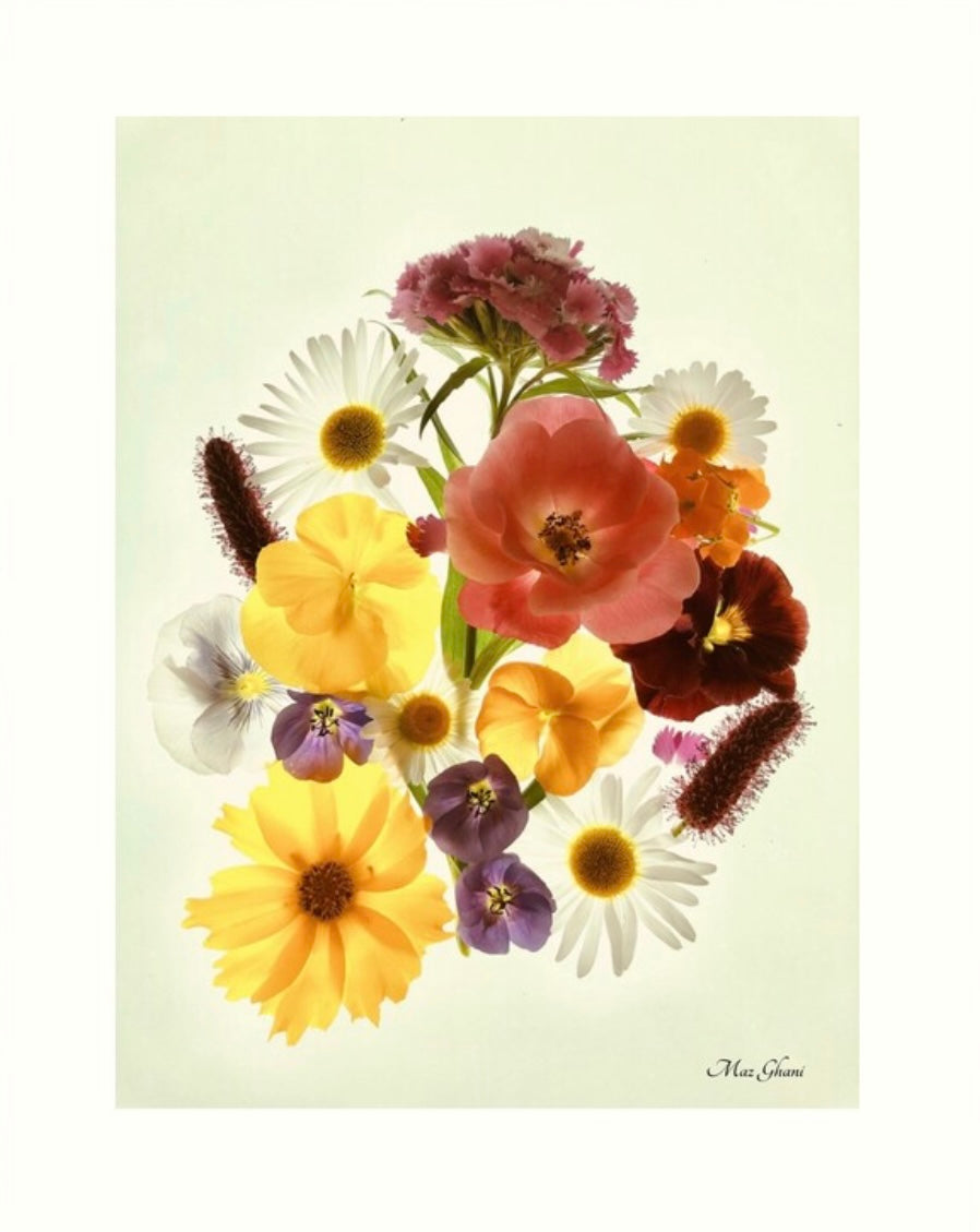 Khloris Botanical Photo Art Print