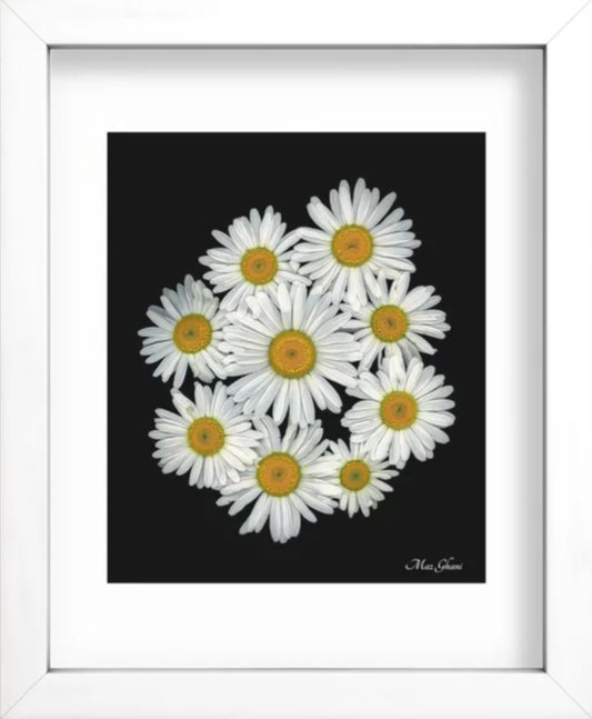 Sunny Days Recessed Framed Botanical Art Print