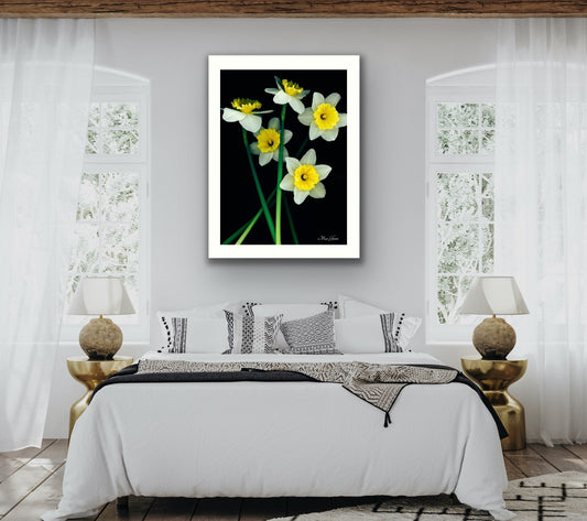 Dayana Botanical Photo Art Print