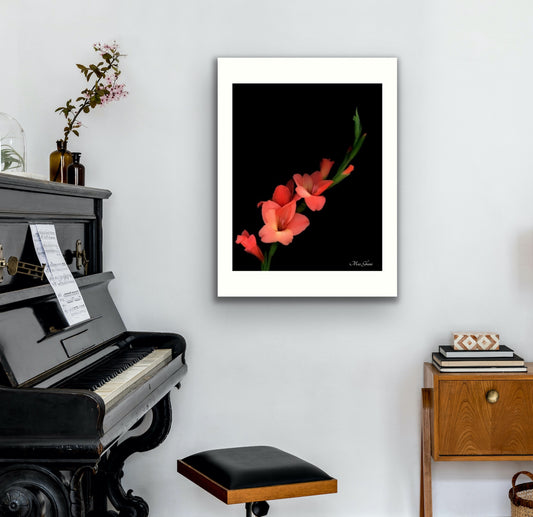 Scarlet Botanical Photo Art Print