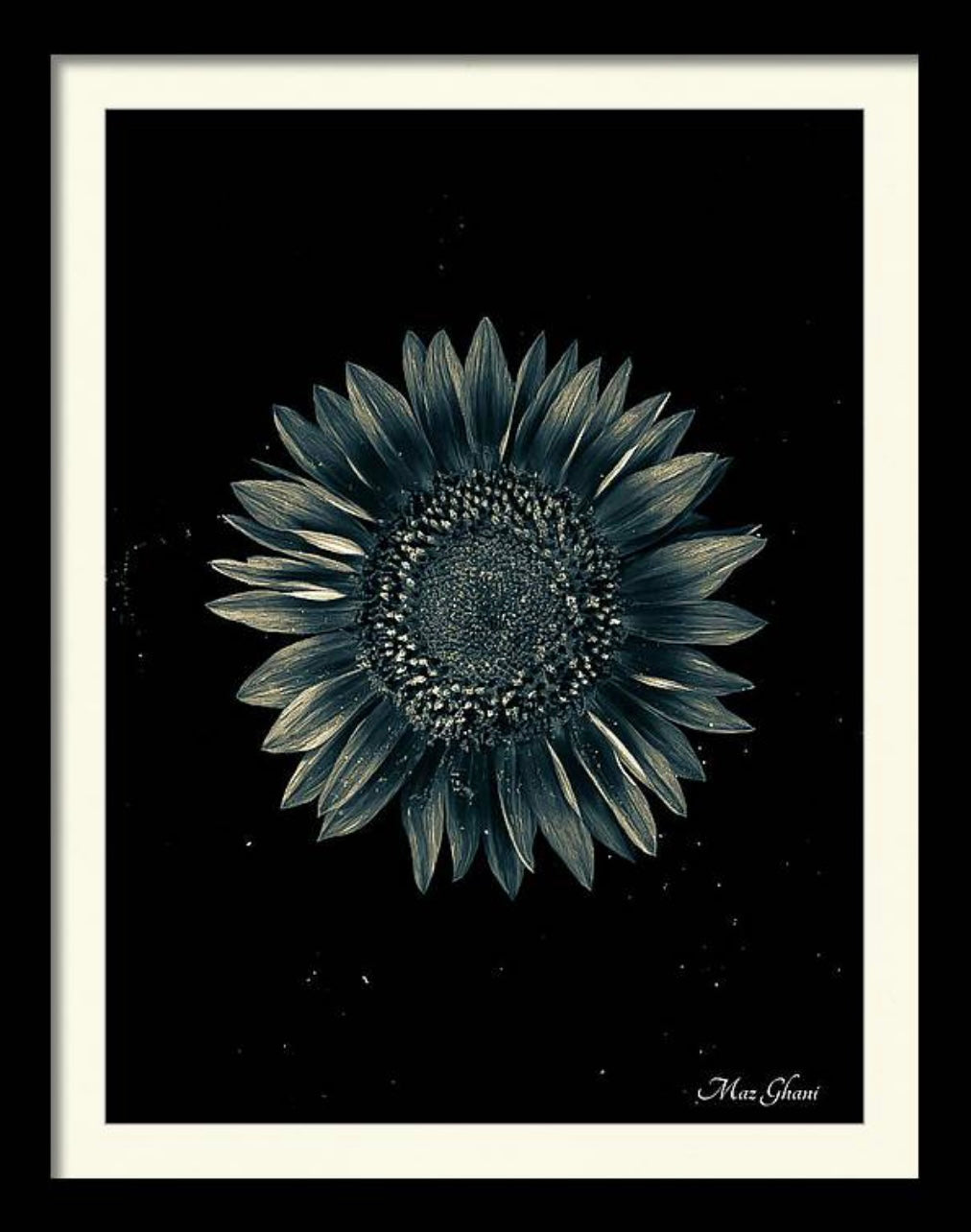 Celestial Framed Botanical Photo Art Print