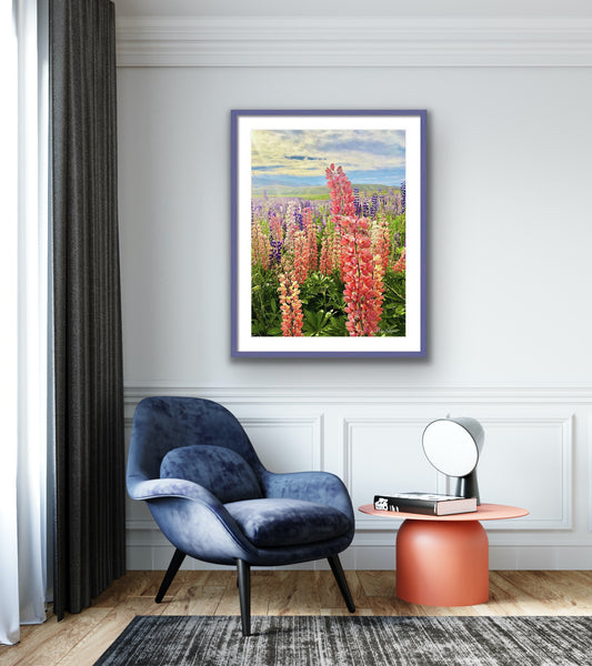 Lupines Framed Botanical Photo Art Print