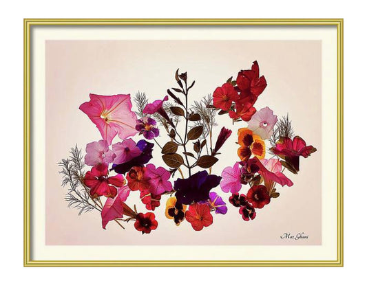 Floralis Framed Botanical Photo Art Print