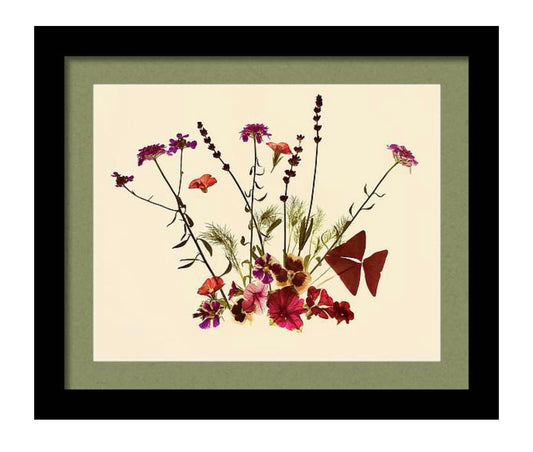 Floranna Framed Botanical Photo Art Print