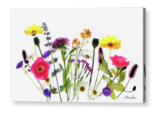 Wild in the Woods Botanical Acrylic Photo Art Print