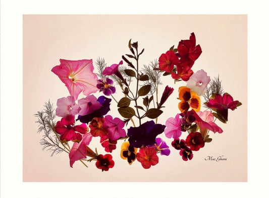Floralis Botanical Photo Art Print