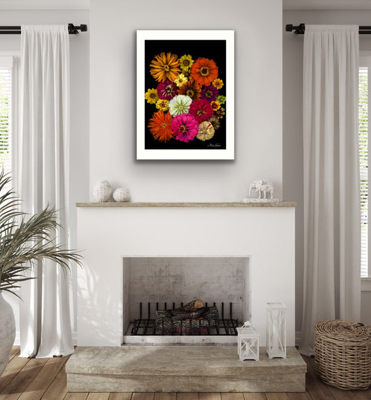 Zinnia Botanical Photo Art Print