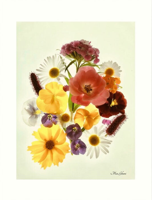 Khloris Botanical Photo Art Print