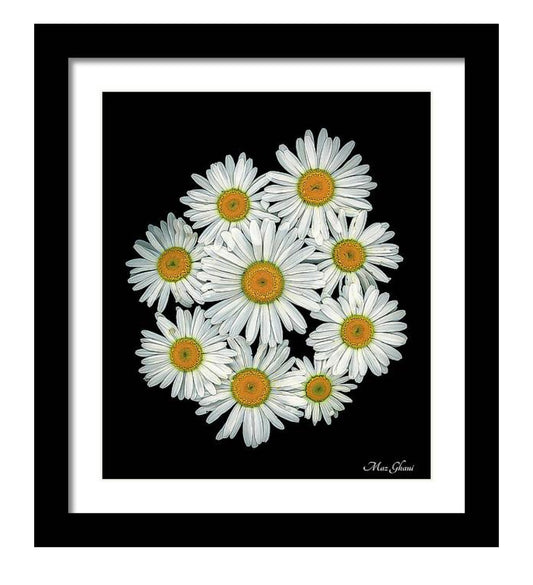 Sunny Days Framed Botanical Photo Art Print