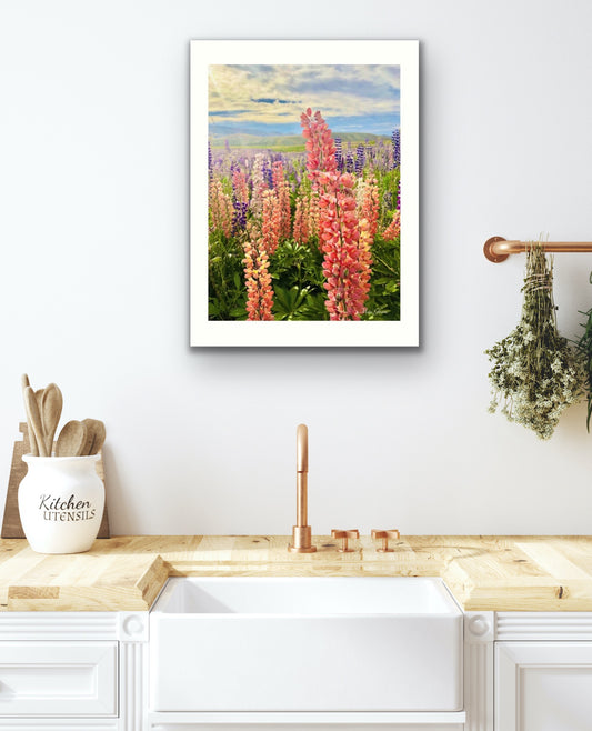 Lupines Botanical Photo Art Print