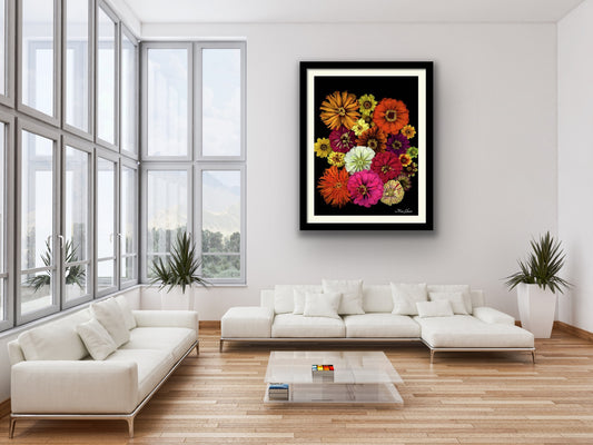 Zinnia Framed Botanical Photo Art Print