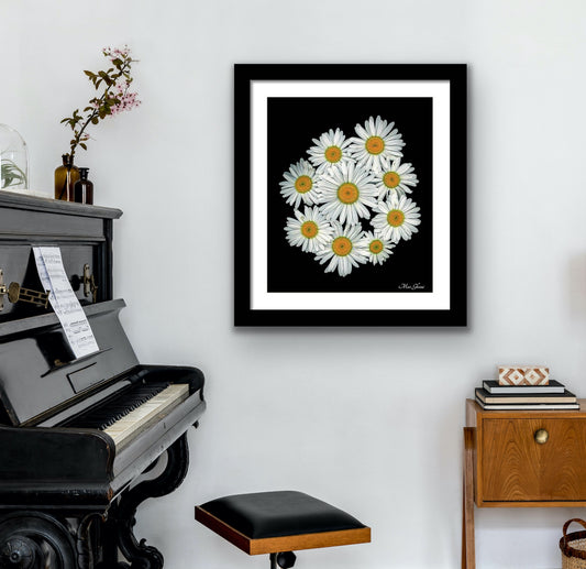 Sunny Days Framed Botanical Photo Art Print