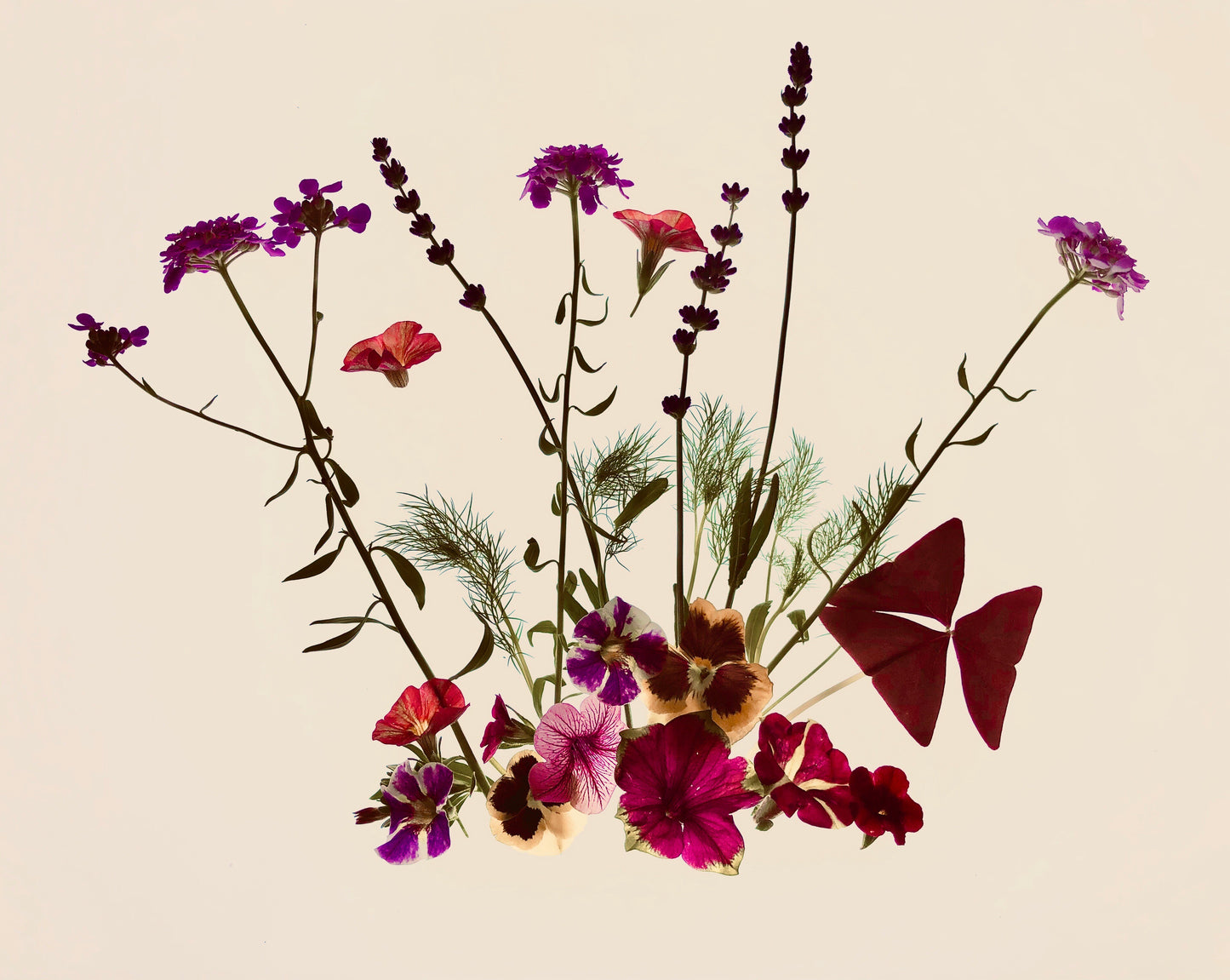Floranna Framed Botanical Photo Art Print