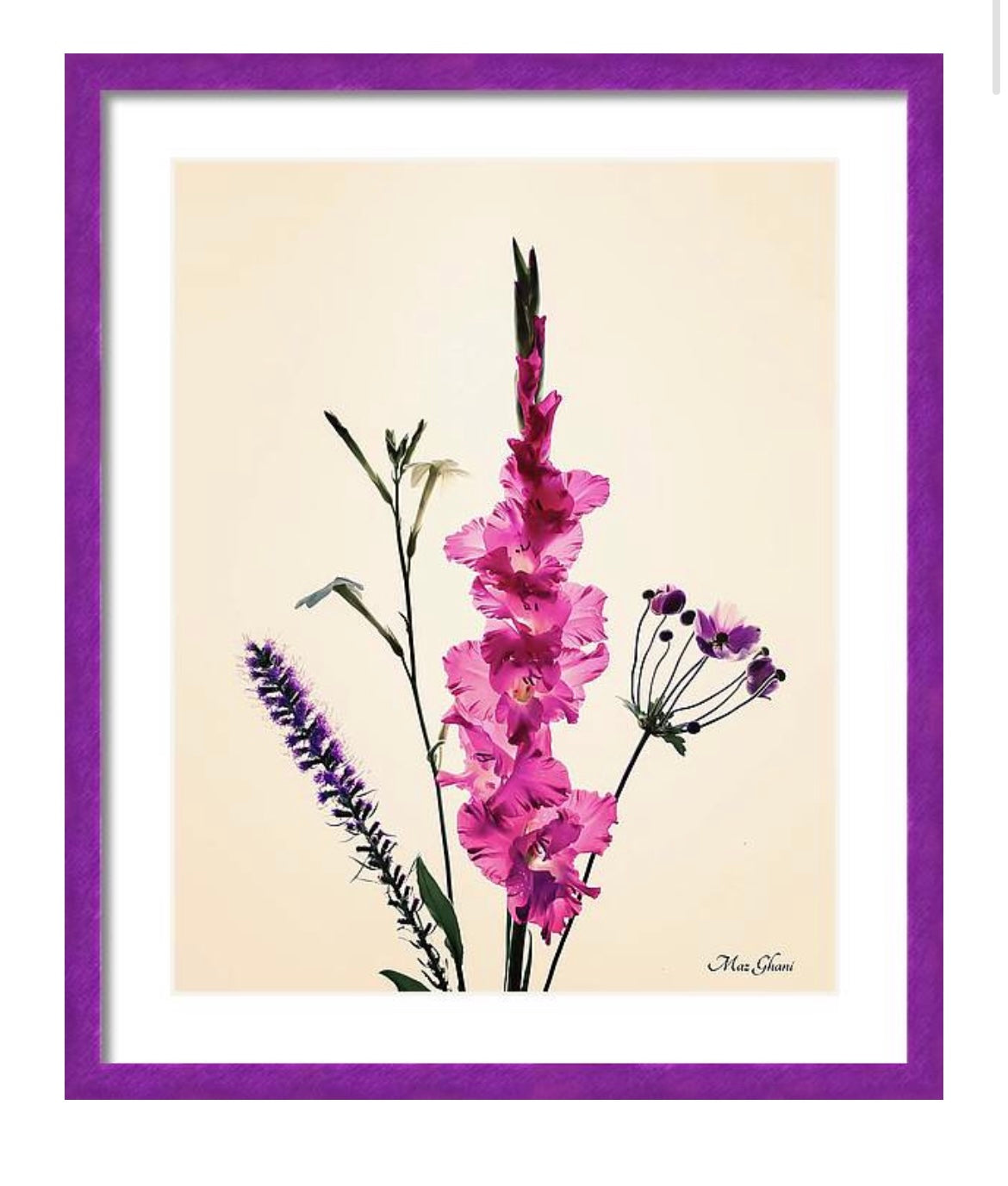 Avianna Framed Botanical Photo Art Print