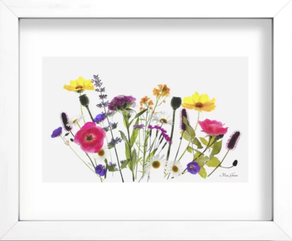 Wild in the Woods Recessed Framed Botanical Art Print