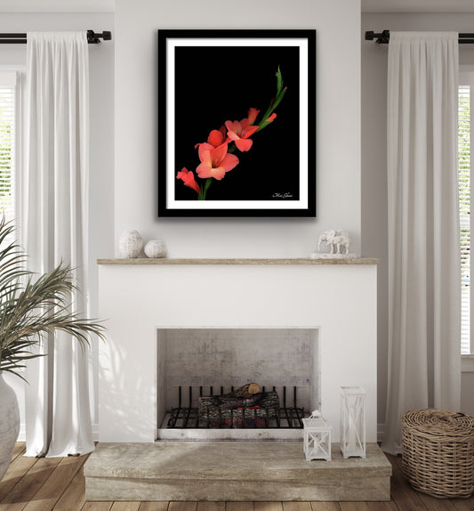 Scarlet Framed Botanical Photo Art Print