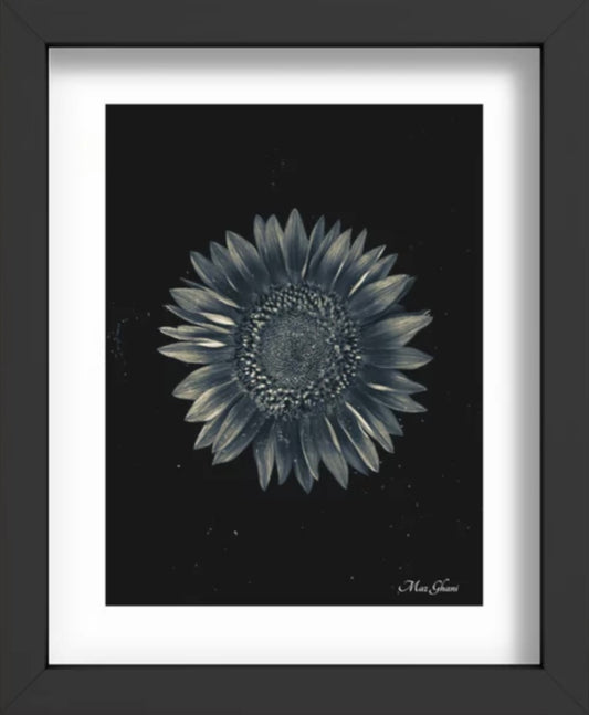 Celestial Recessed Framed Botanical Art Print
