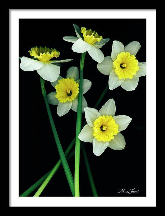Dayana Framed Botanical Photo Art Print