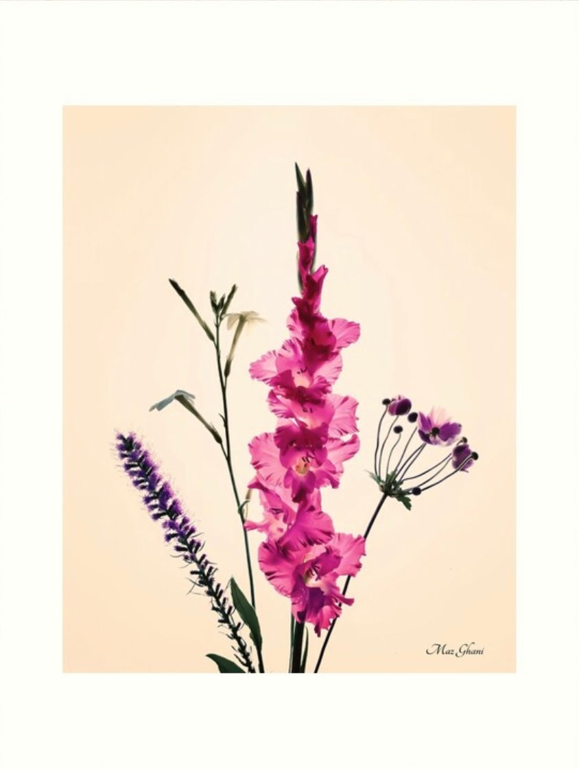 Avianna Botanical Photo Art Print