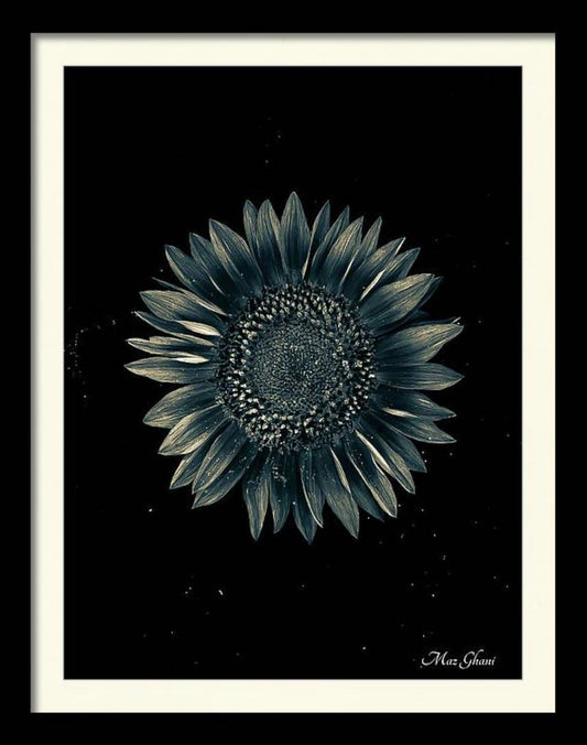Celestial Framed Botanical Photo Art Print #2