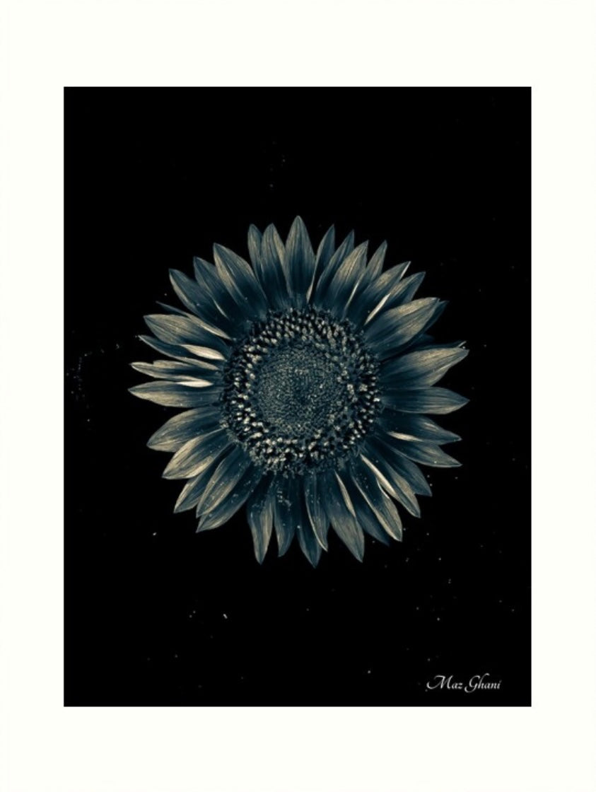 Celestial Botanical Photo Art Print