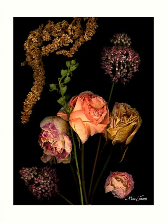 Finalis Botanical Photo Art Print