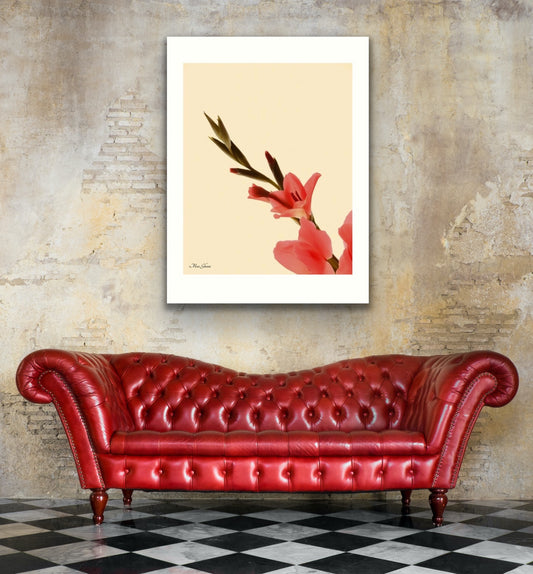 Gladius Botanical Photo Art Print