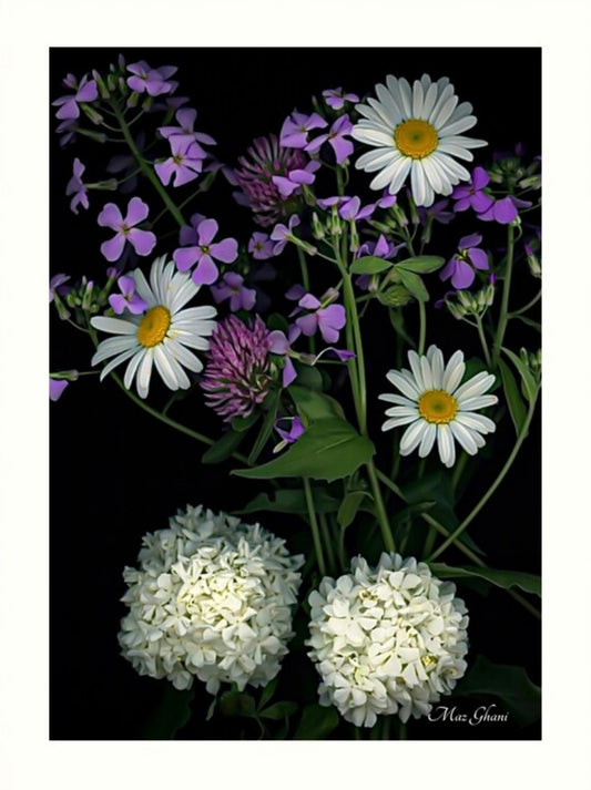 Pranetta Botanical Photo Art Print