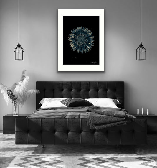 Celestial Botanical Photo Art Print