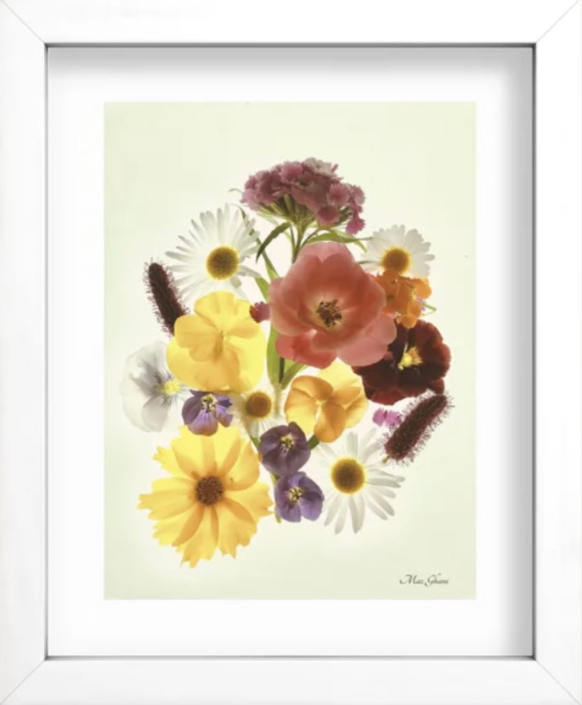 Khloris Recessed Framed Botanical Art Print