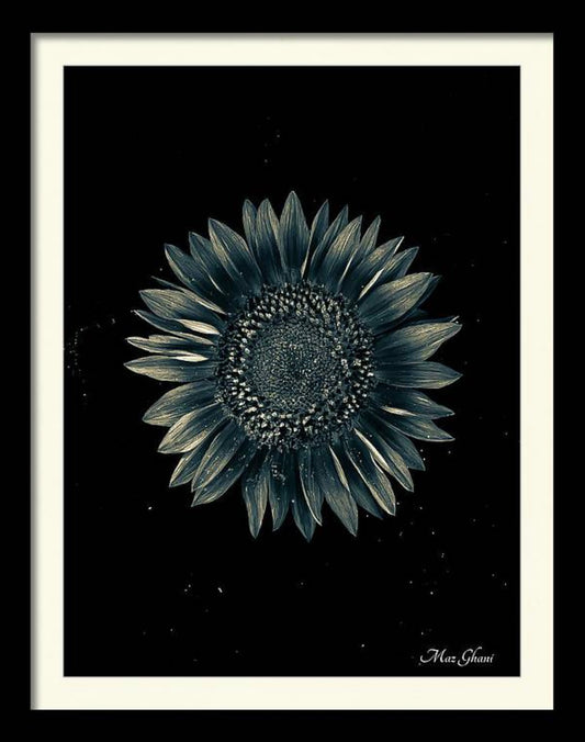 Celestial Framed Botanical Photo Art Print